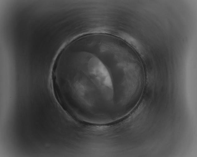 X0000100921184200806241338