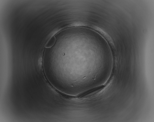 X0000100921185200806241338