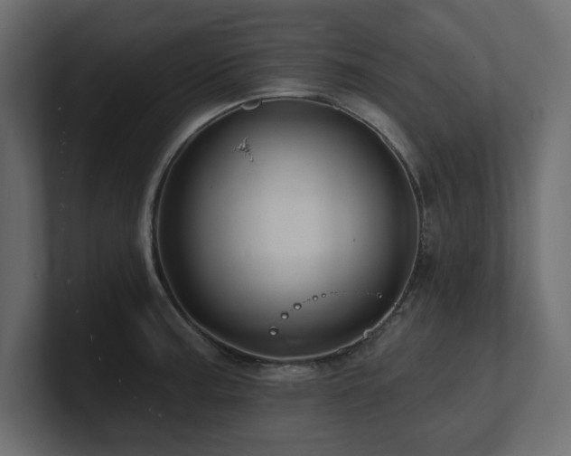 X0000100921187200806241338