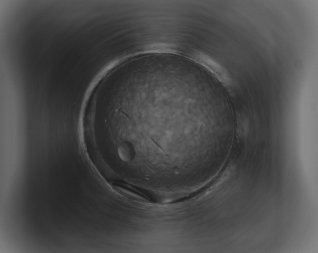 X0000100921188200806241338