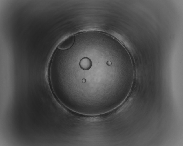 X0000100921189200806241338