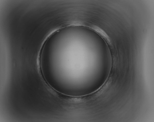 X0000100921190200806241338