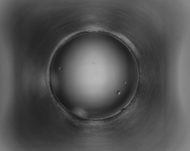 X0000100921191200806241338