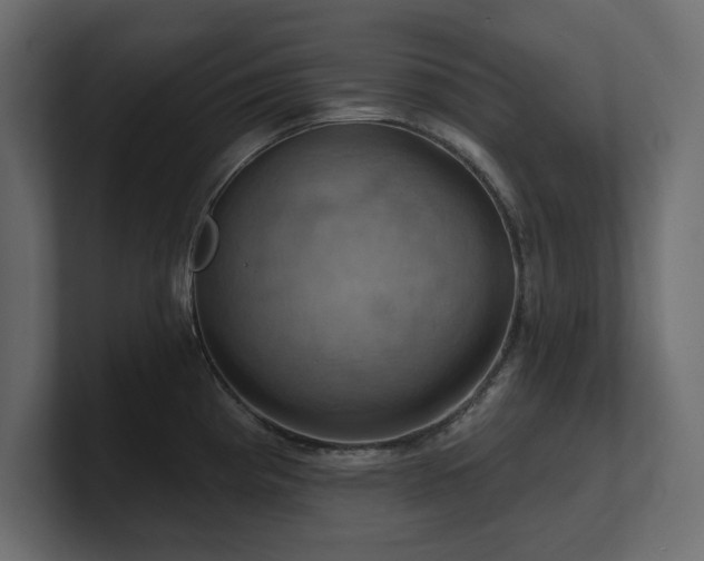 X0000100921193200806241338
