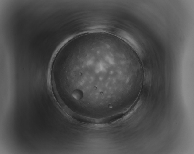 X0000100921196200806241338