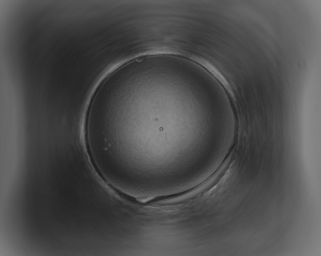 X0000100921197200806241338