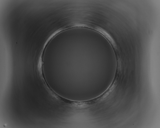 X0000100921198200806241338