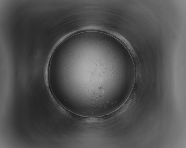 X0000100921199200806241338