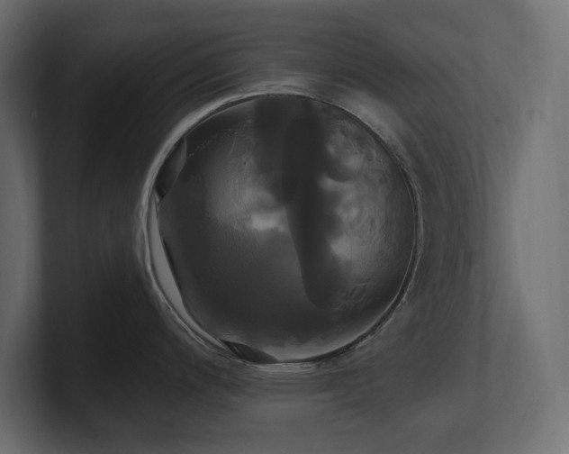 X0000100921200200806241338