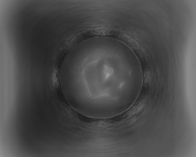 X0000100921202200806241337