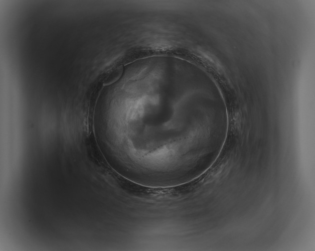 X0000100921205200806241337