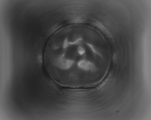X0000100921209200806241337