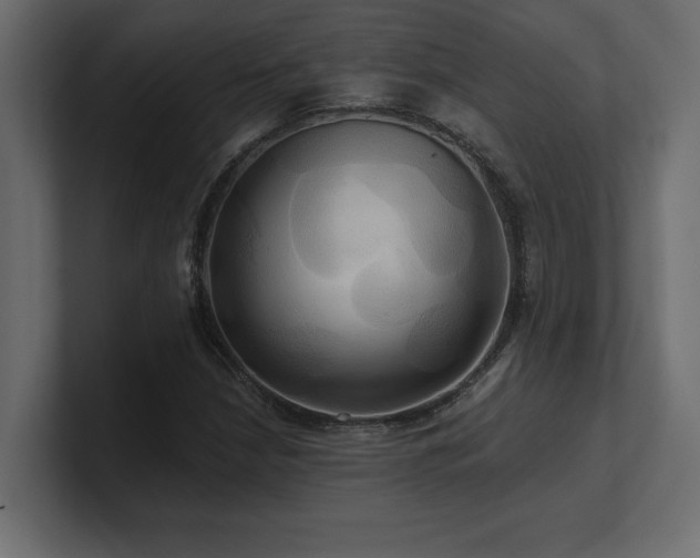 X0000100921210200806241337