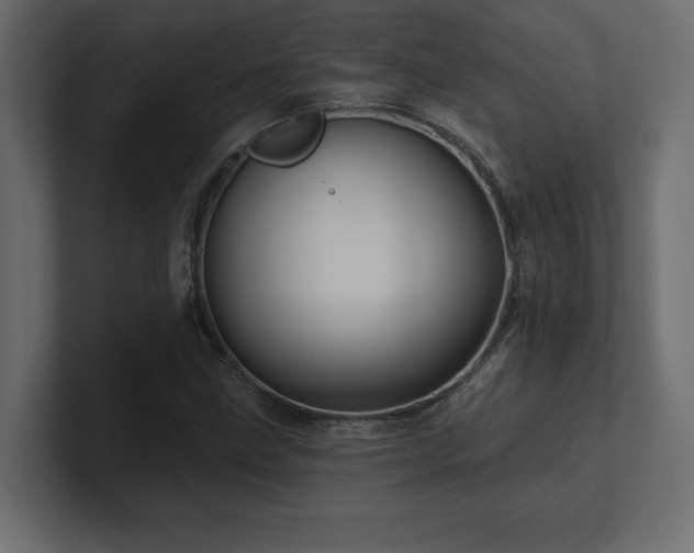X0000100921211200806241337