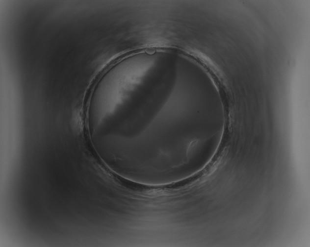 X0000100921212200806241337