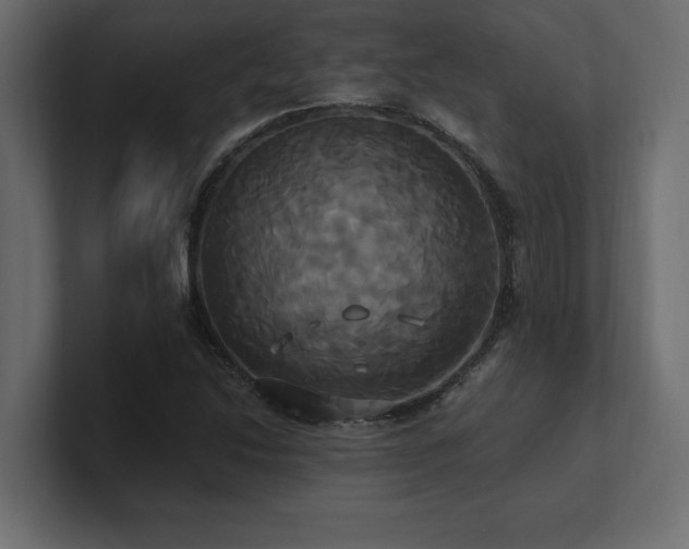 X0000100921214200806241337