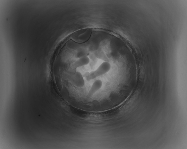 X0000100921215200806241337