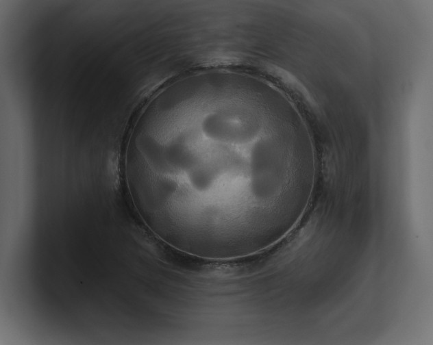 X0000100921217200806241337