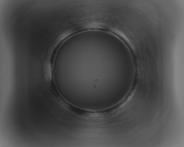 X0000100921219200806241337