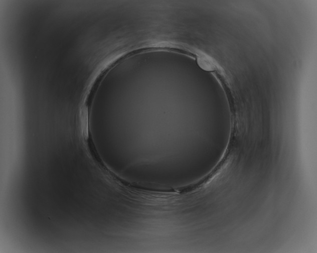 X0000100921223200806241337