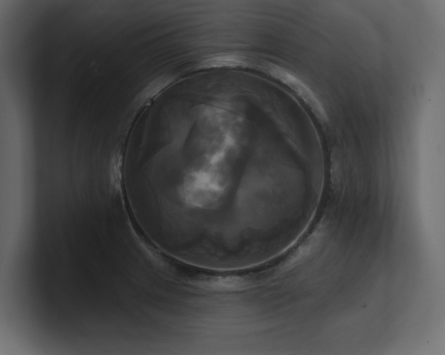 X0000100921233200806241337
