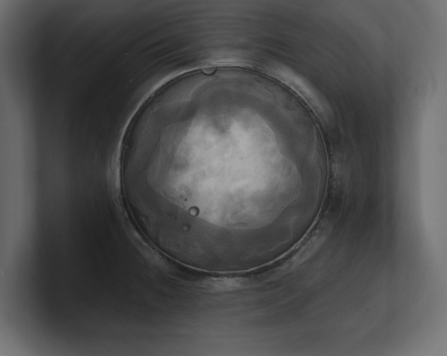 X0000100921236200806241337
