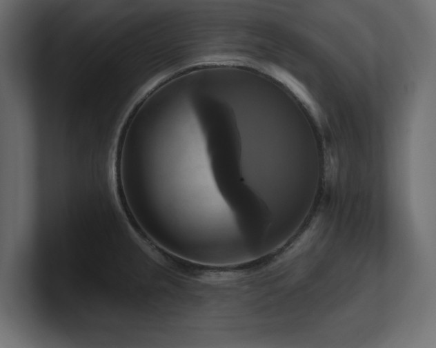 X0000100921237200806241337