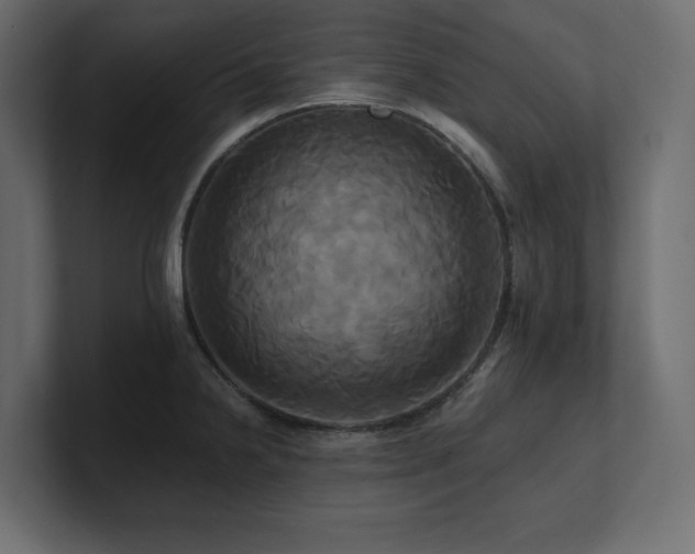 X0000100921238200806241337