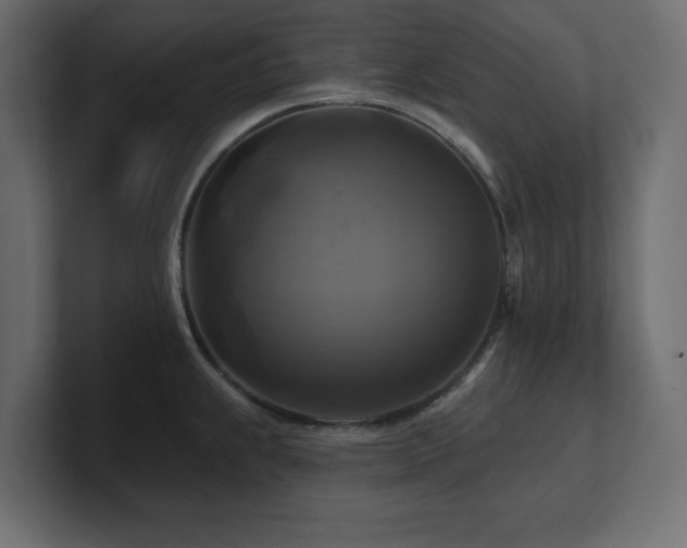 X0000100921239200806241337