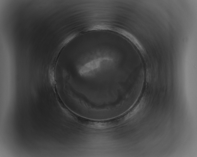X0000100921241200806241338