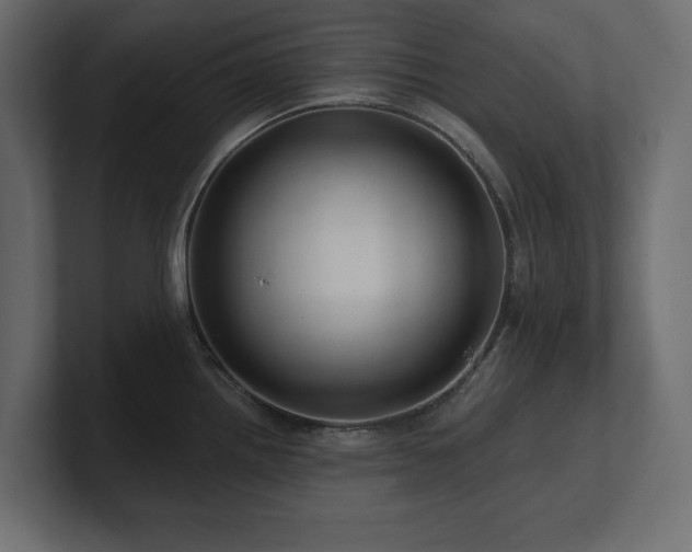 X0000100921242200806241338