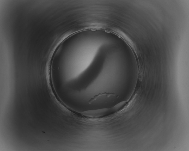 X0000100921243200806241338