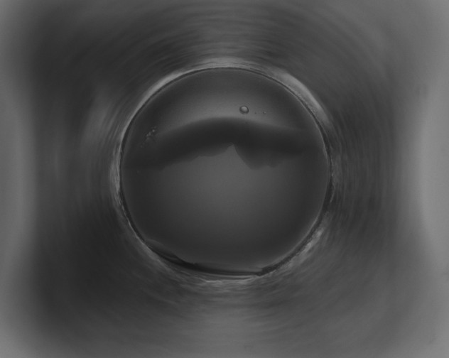 X0000100921244200806241338