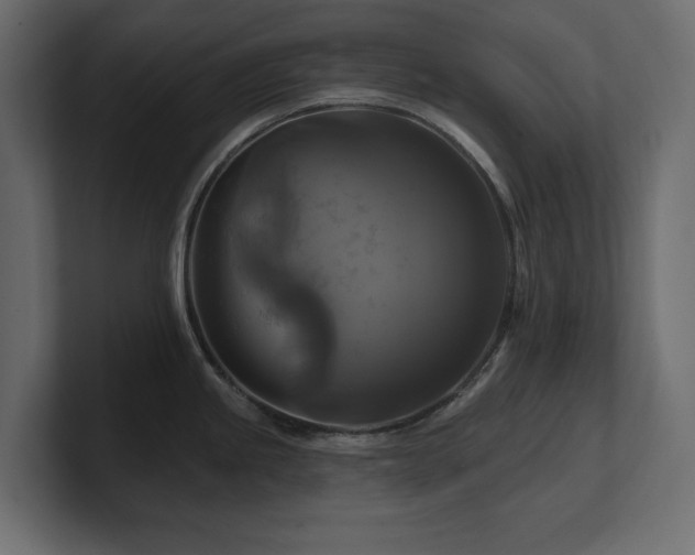 X0000100921245200806241338