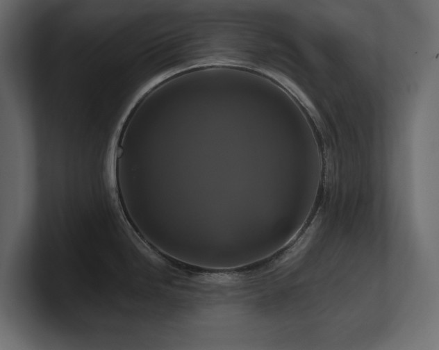 X0000100921246200806241338