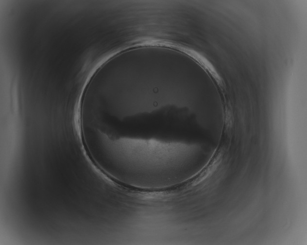 X0000100921247200806241338