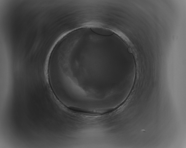 X0000100921248200806241338