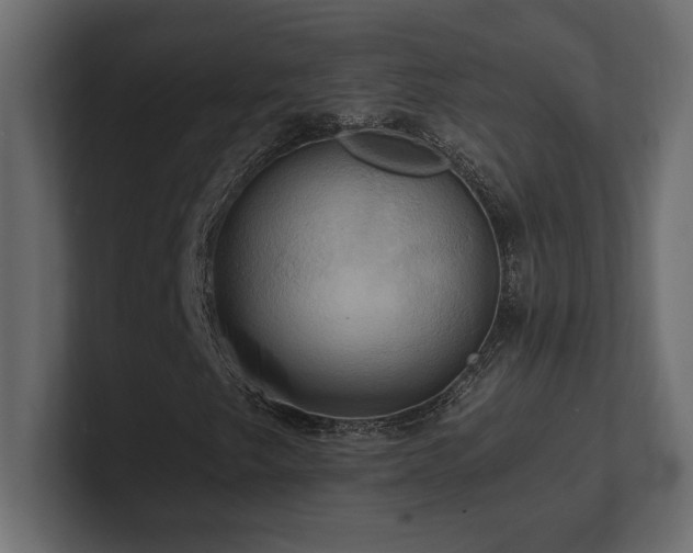 X0000100921249200806241337