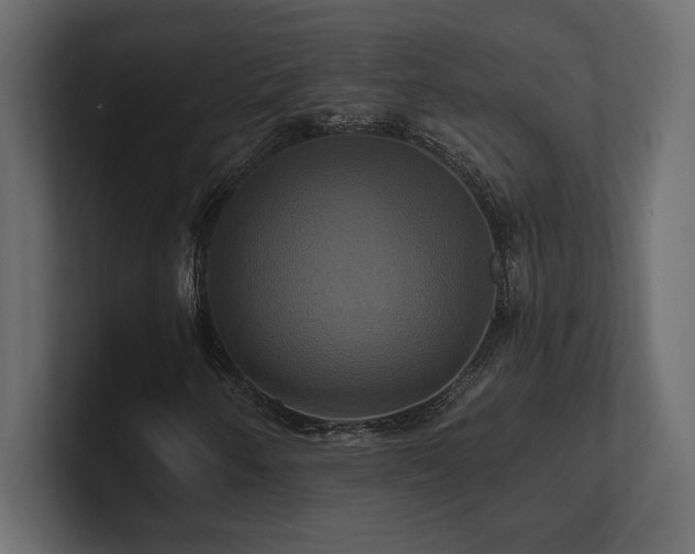 X0000100921250200806241337