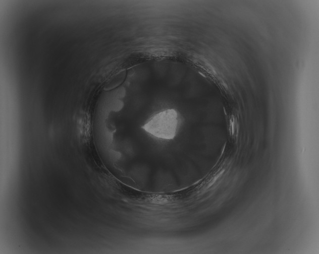X0000100921251200806241337
