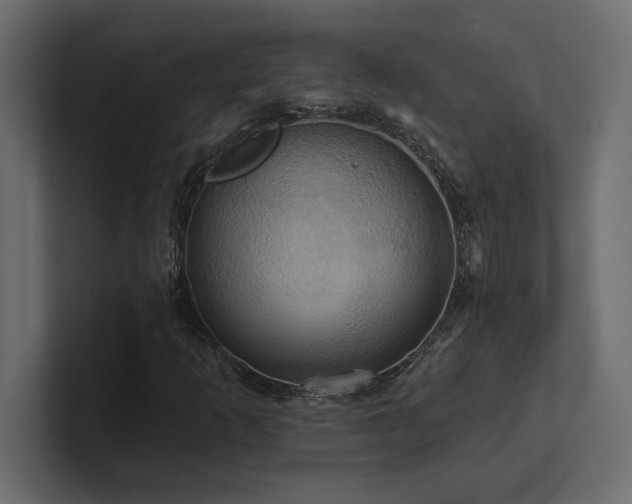 X0000100921253200806241337