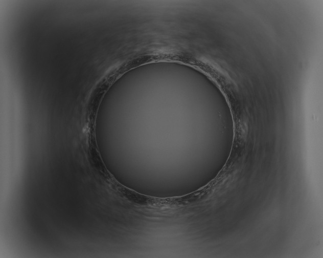 X0000100921254200806241337