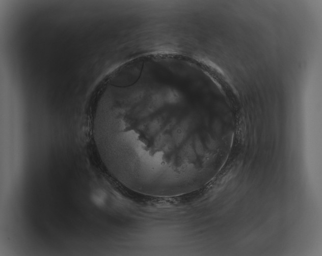 X0000100921255200806241337