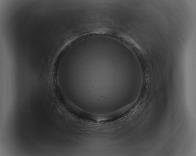 X0000100921256200806241337