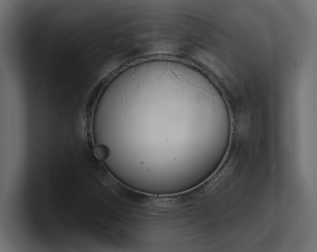 X0000100921258200806241337