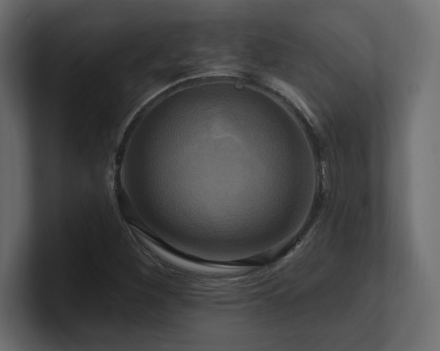 X0000100921260200806241337