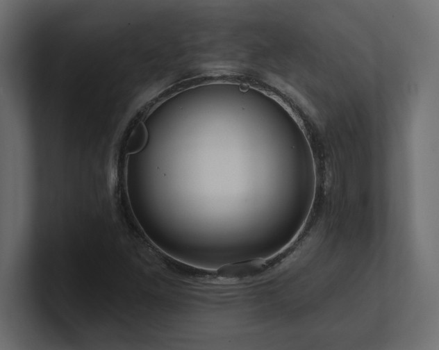 X0000100921261200806241337