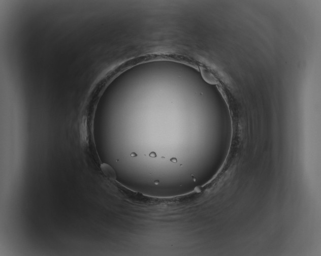 X0000100921262200806241337