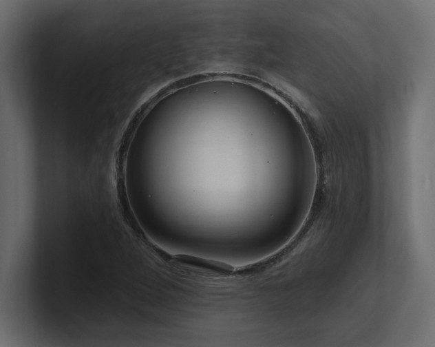 X0000100921264200806241337