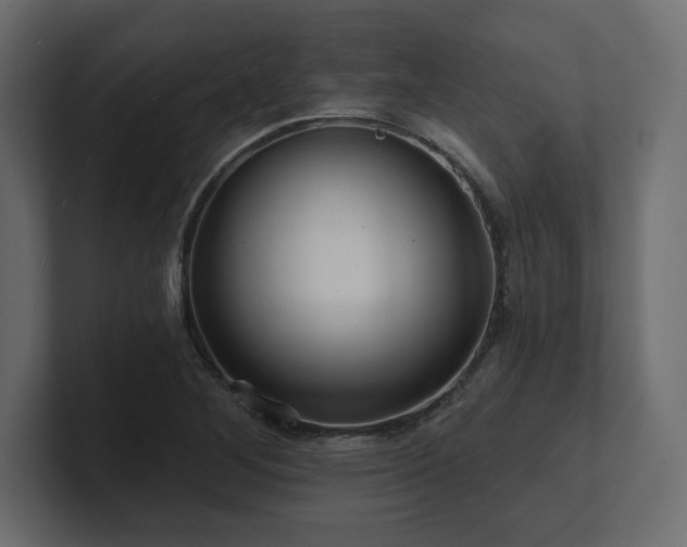 X0000100921268200806241337